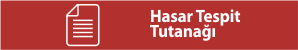 kaza-tespit